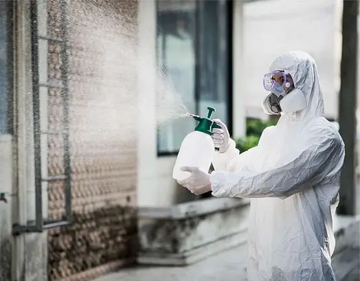mold remediation specialist