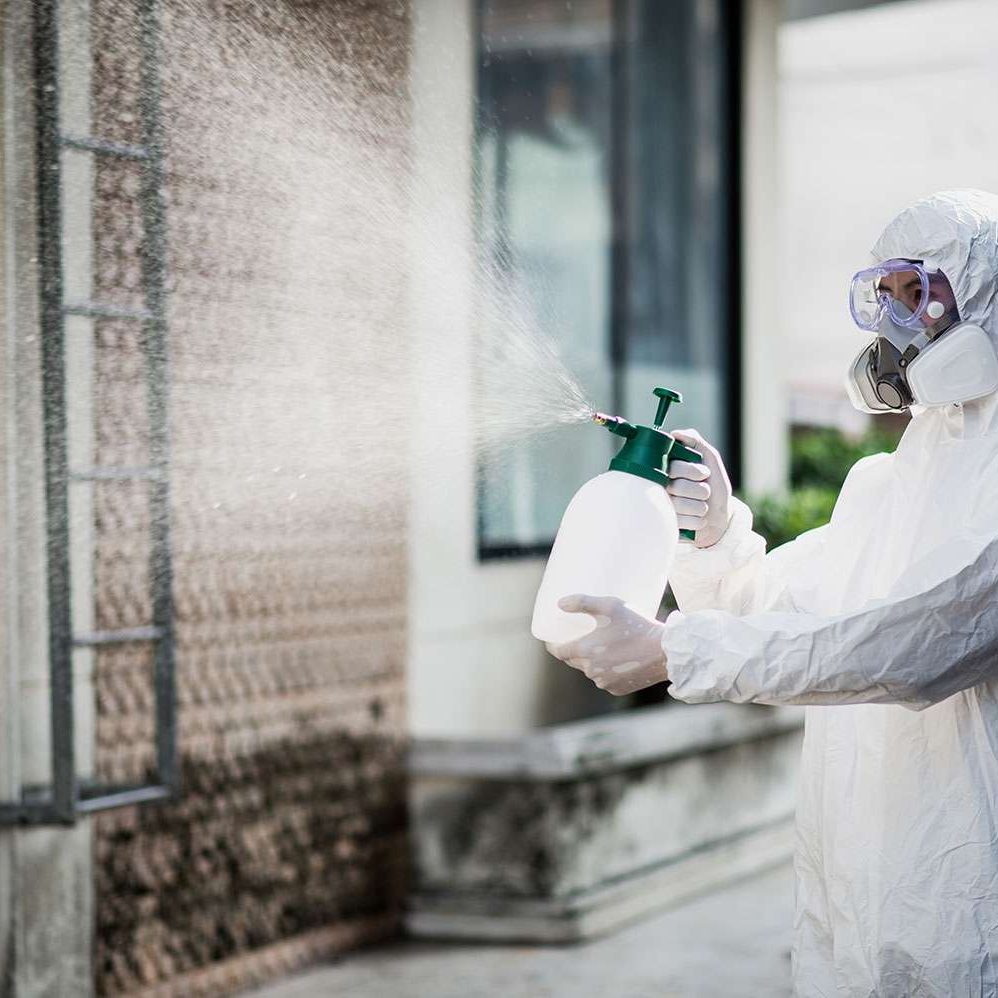Mold Remediation and Treatment Services