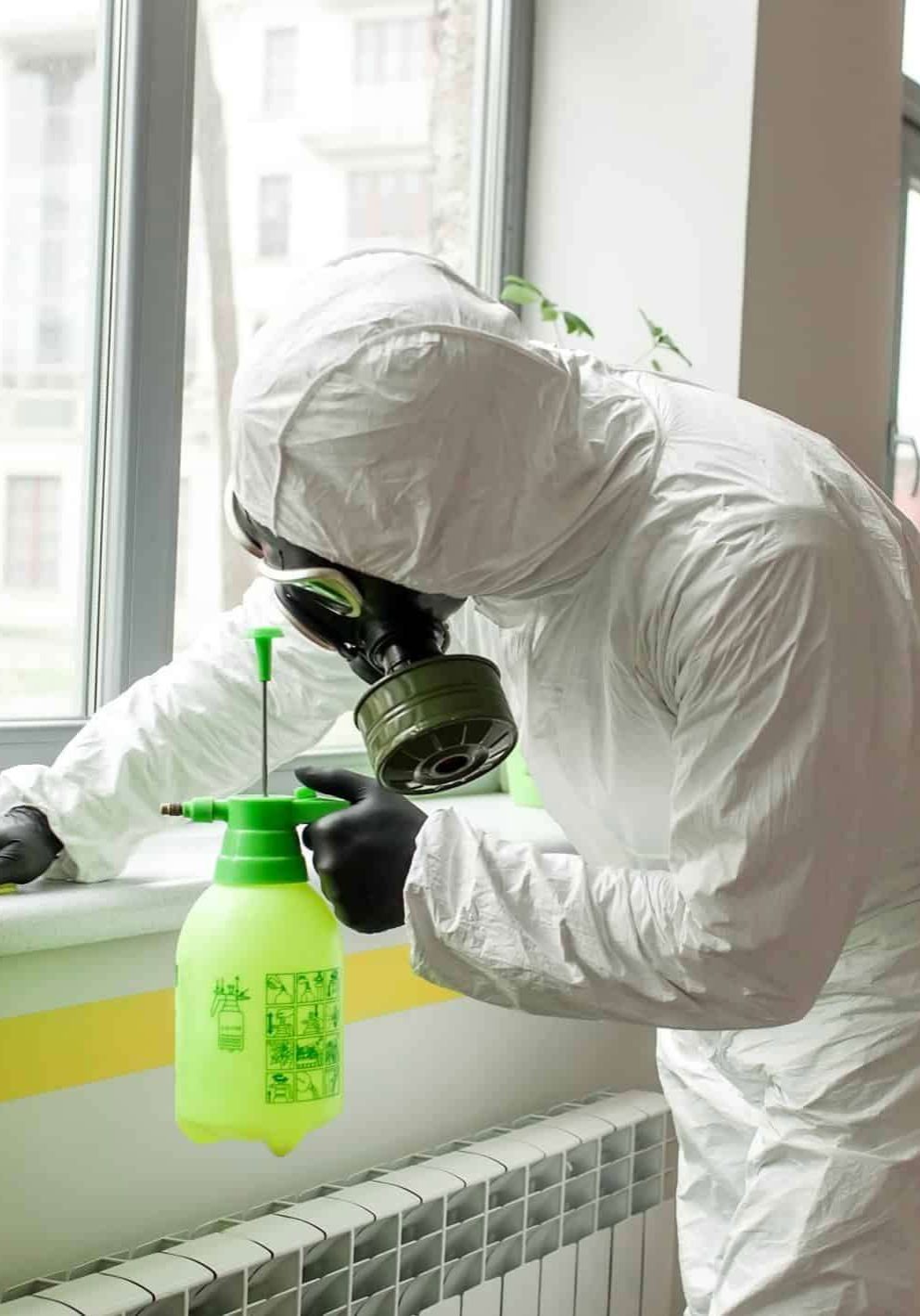 Specialist in protective suit treating mold by a window